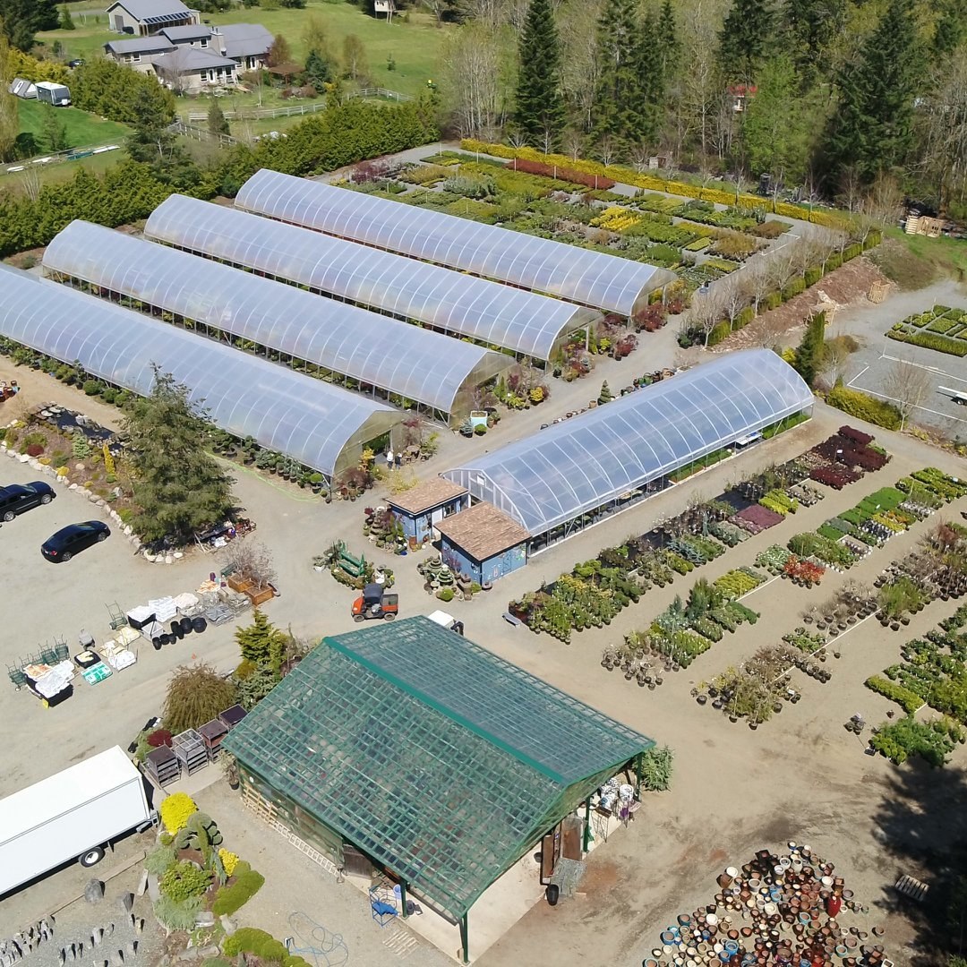 66223271_2706282002718500_5088067409894440960_n