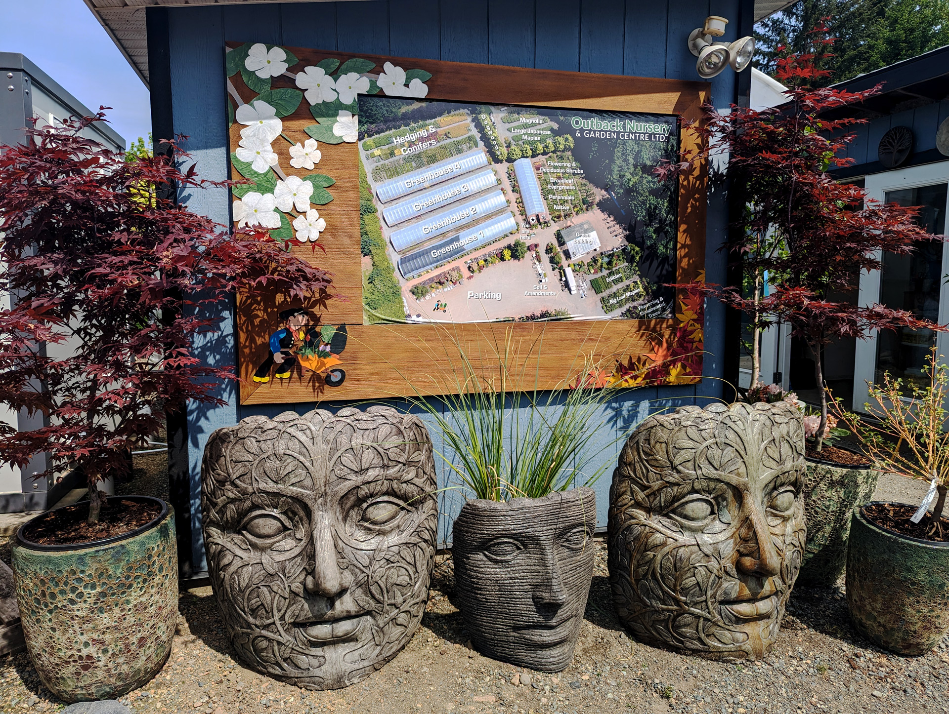 PXL_20240517_212400095.web