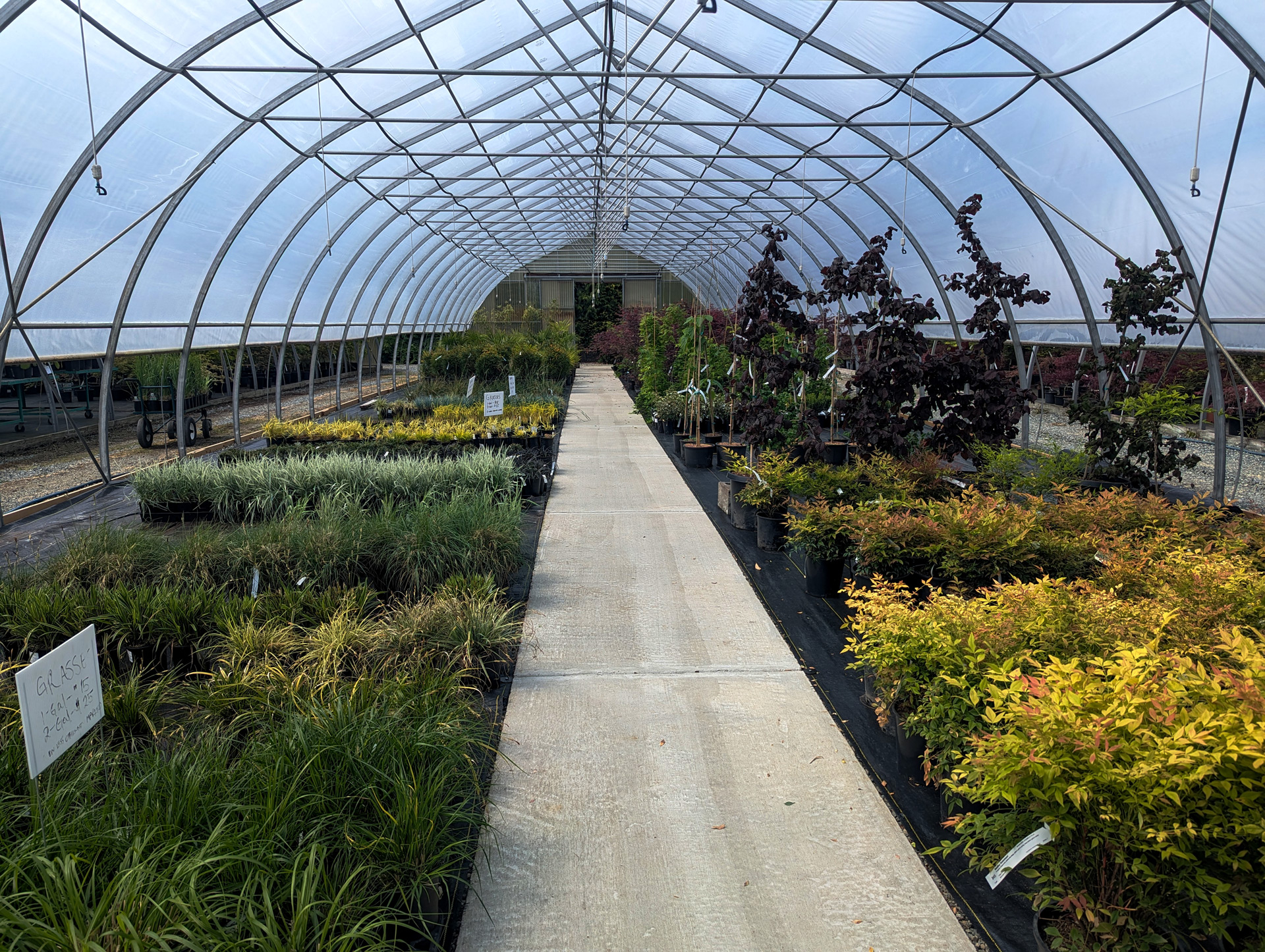 PXL_20240517_213127505