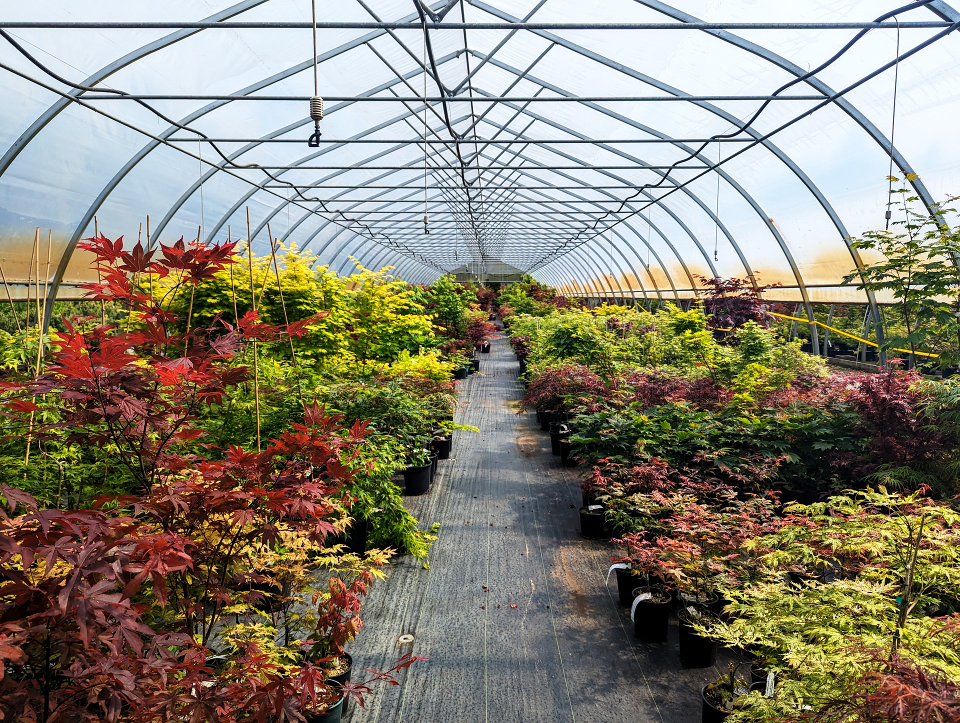 PXL_20240517_213907657.opt