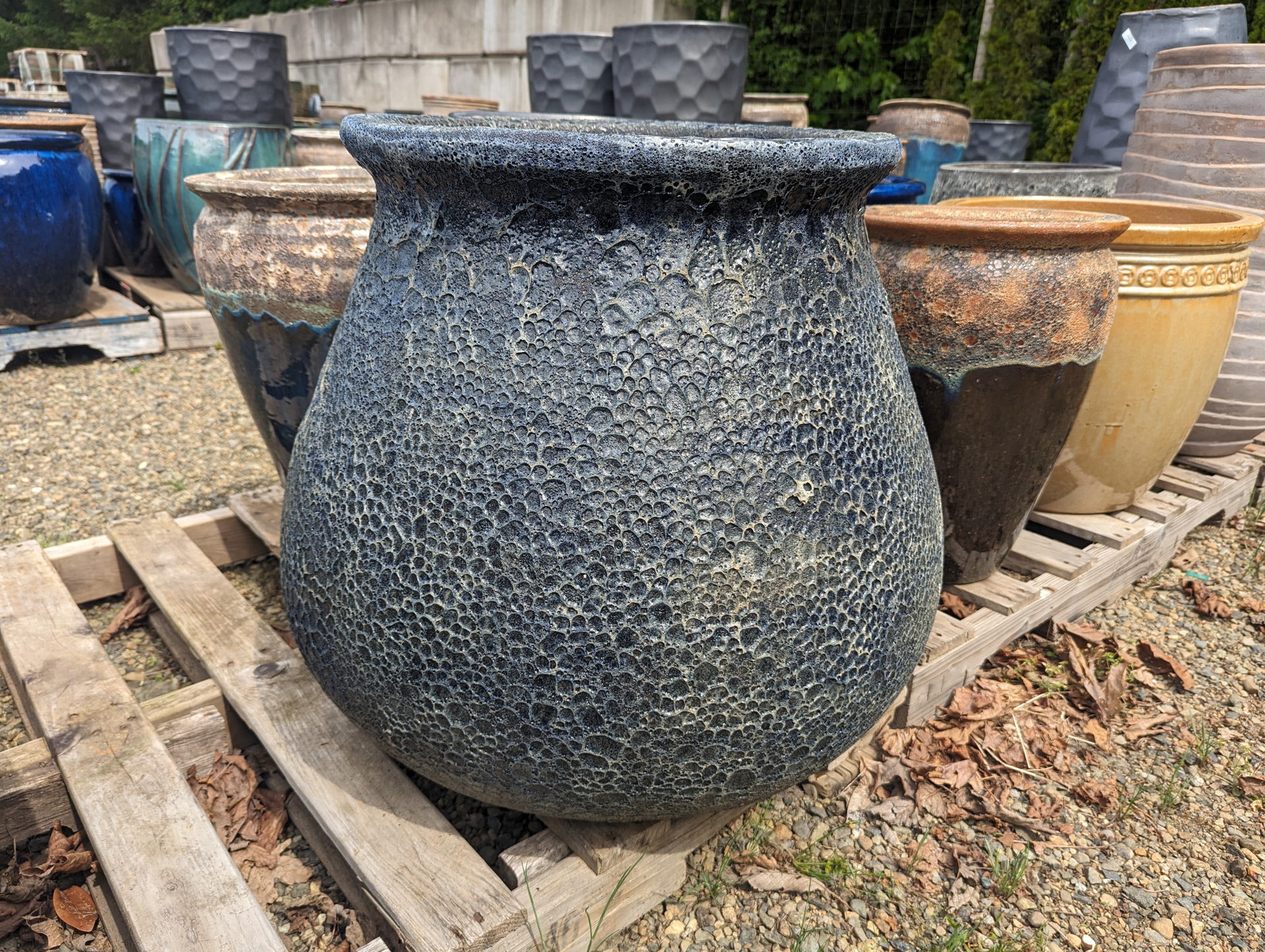 PXL_20240517_215721776.web